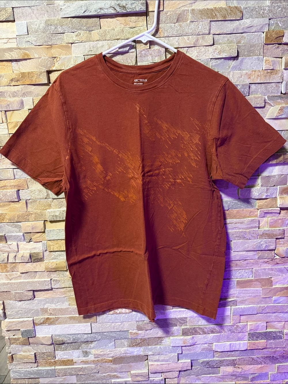 Arc'teryx Men's Rust-Brown Short Sleeve Crew Tee with Subtle Front Graphic